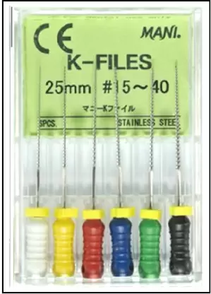 K-File 25mm #15-40 - Mani